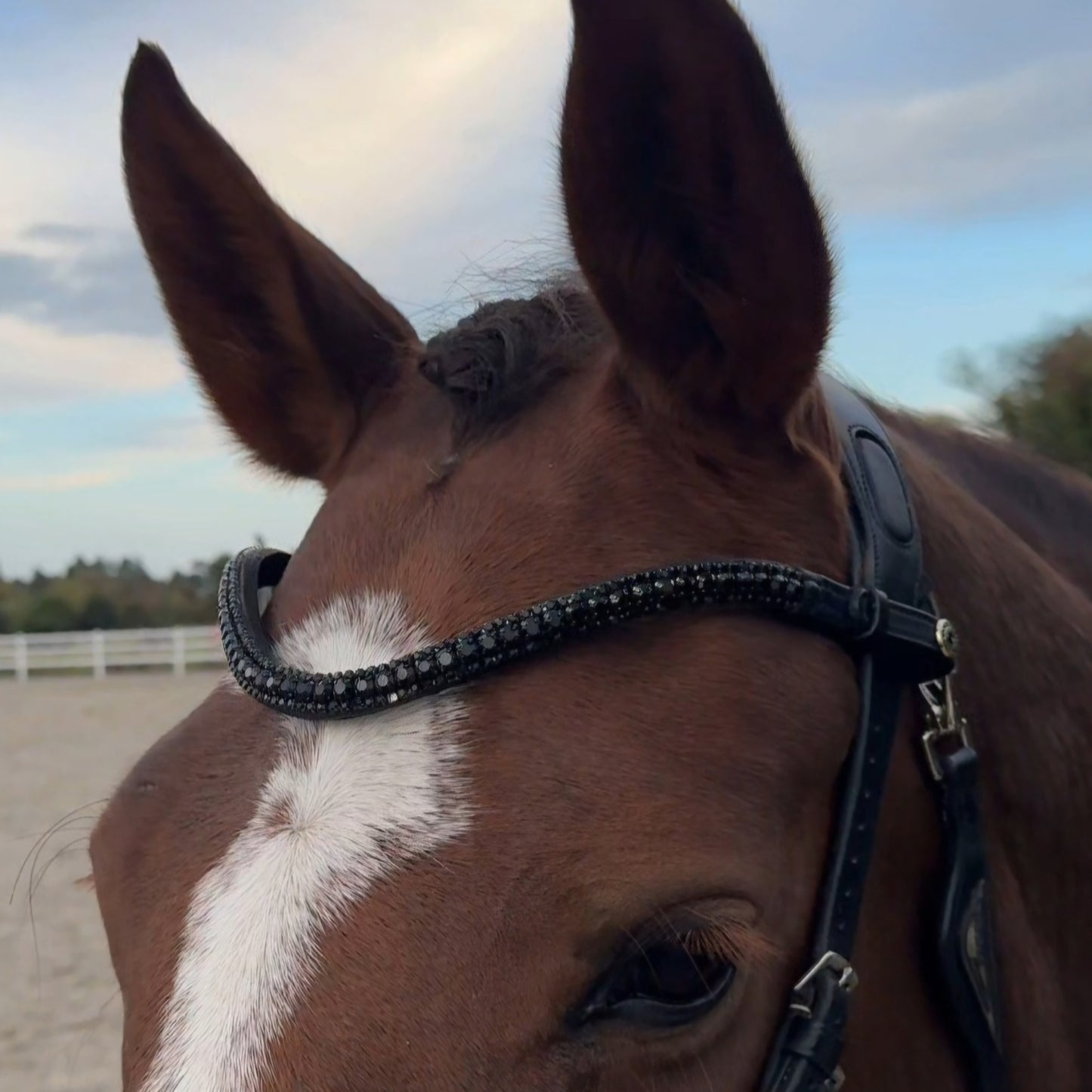 Sandstorm Equestrian - Brow Band - Black Diamante