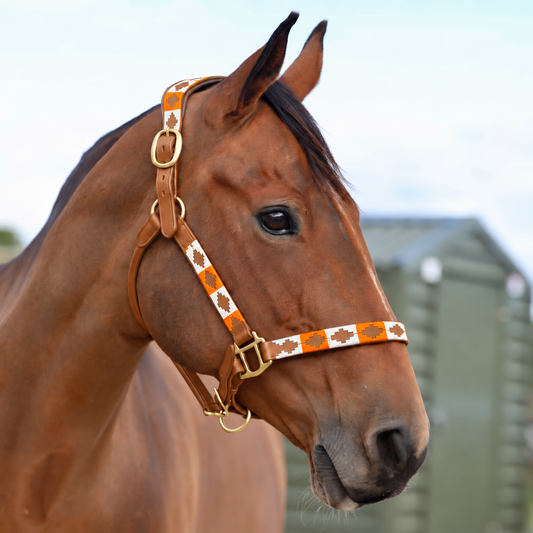 Sandstorm Tanned Leather Polo Head Collar - Blue, Orange & White